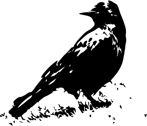 blackbird-overshoulder