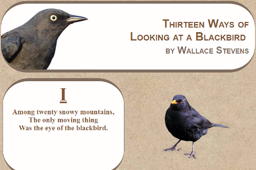 blackbird website