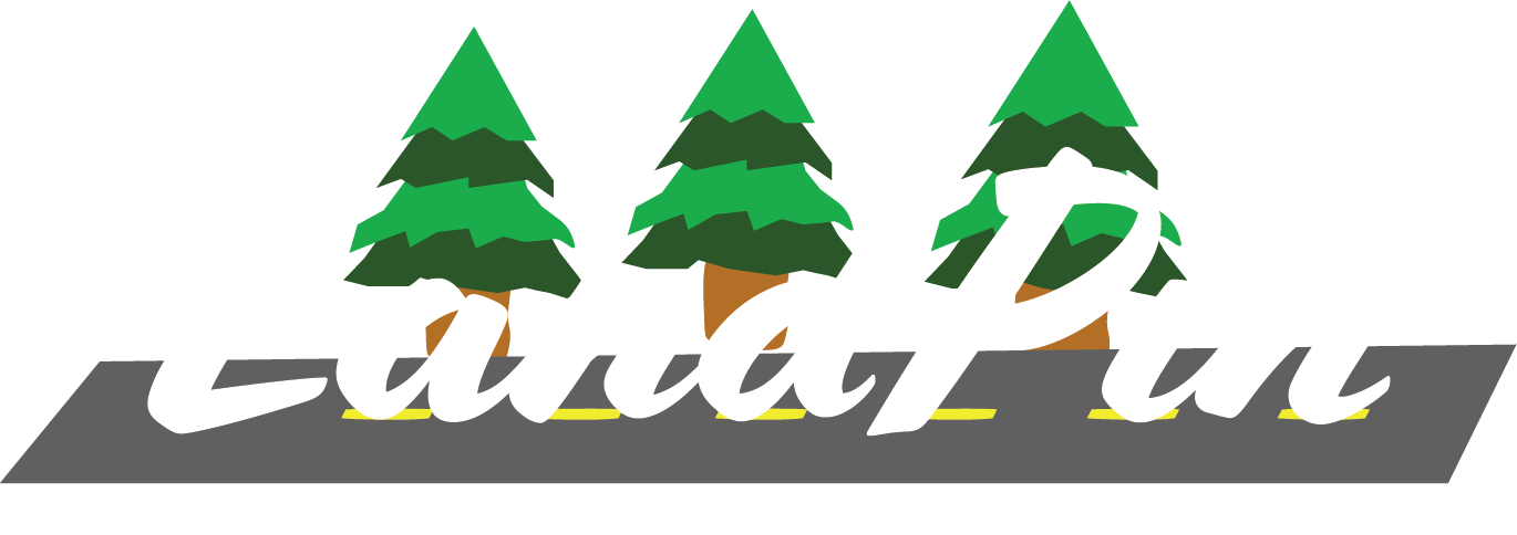 Land Pin Logo
