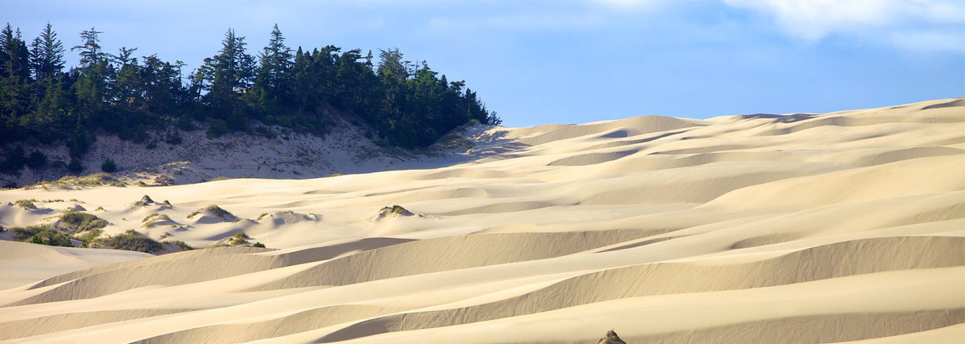 The Oregon Dunes