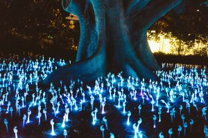 an image of a tree surrounded by glowing blue mushrooms.