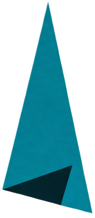 Nose