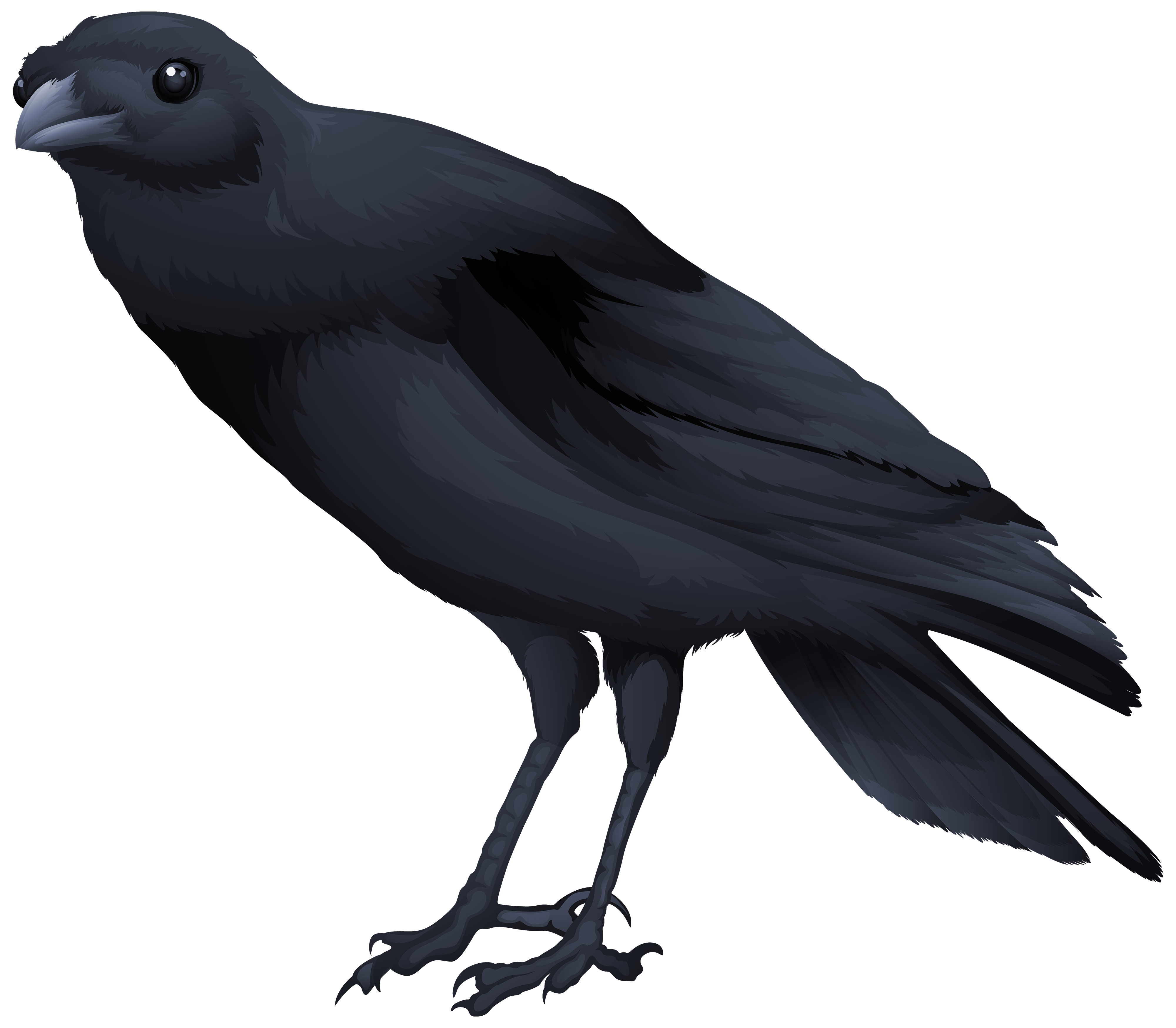 Blackbird Image
