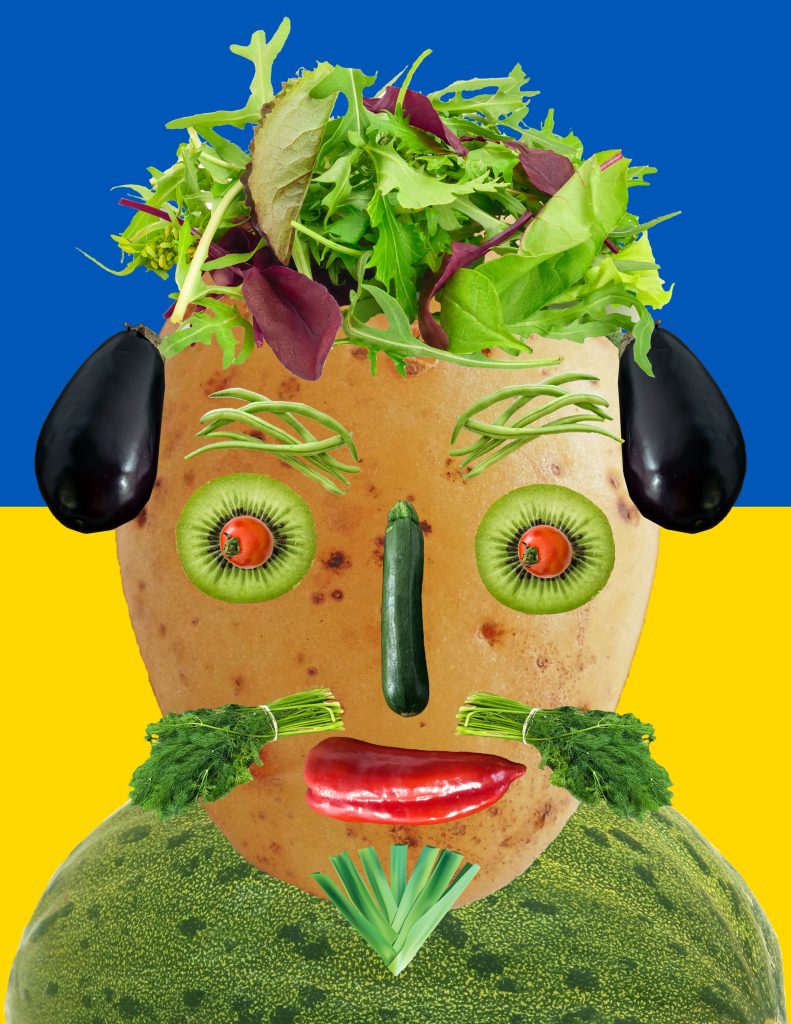 Vegetable Head Collage