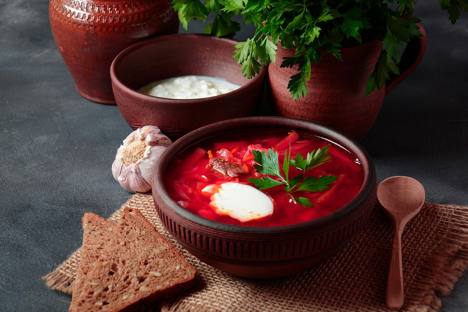 Bowl of Ukrainian Borscht