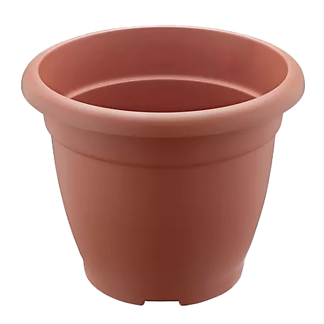 Flower Pot