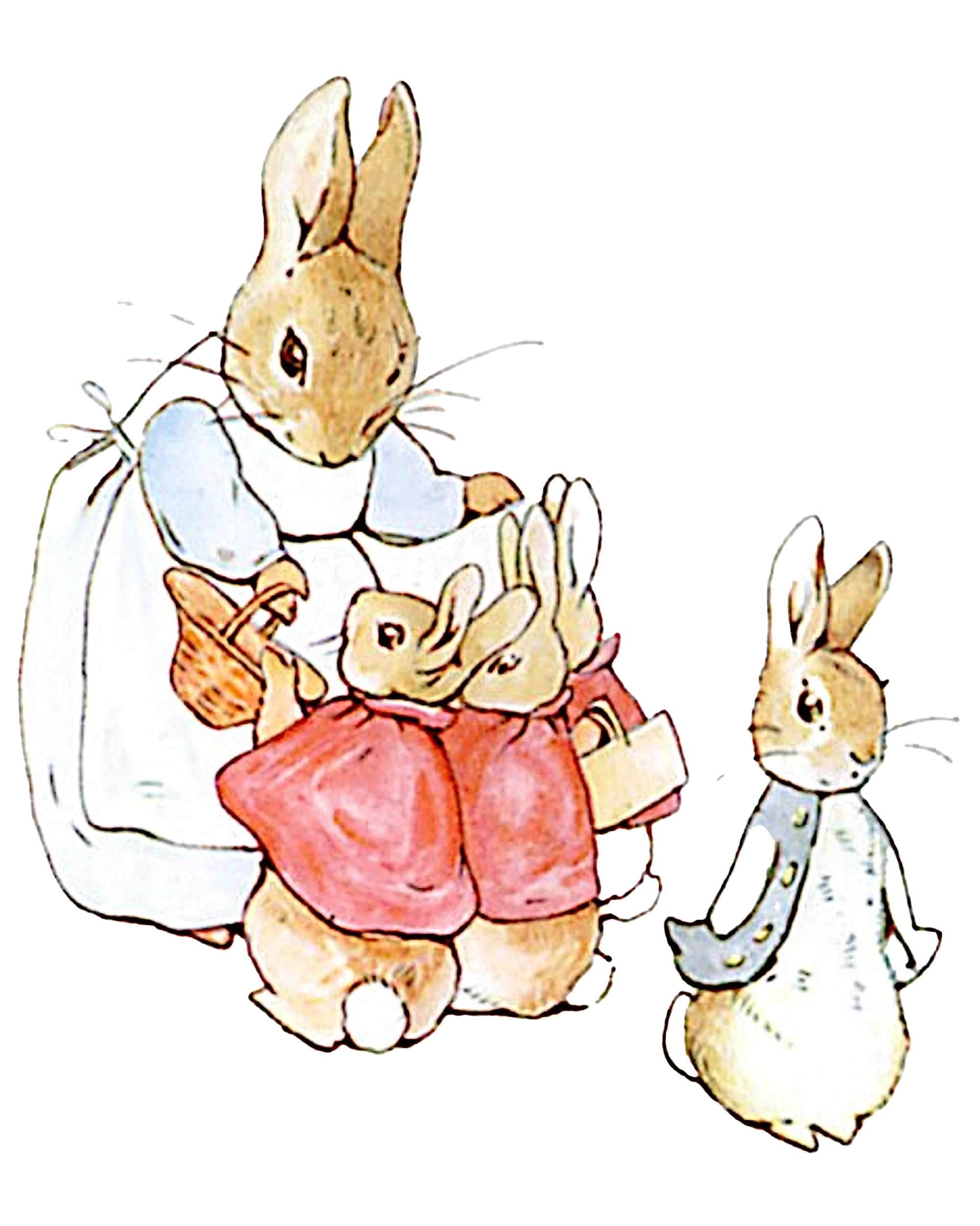 Rabbits