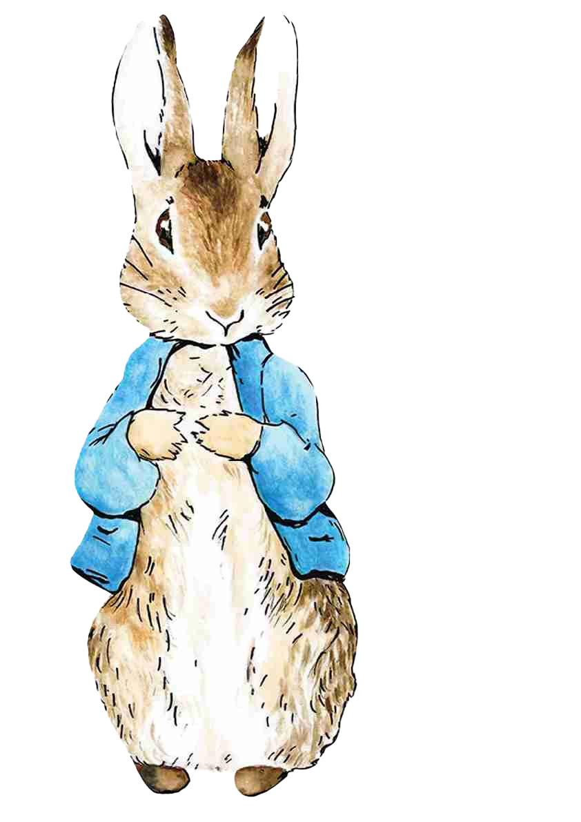 Wandering Peter Rabbit
