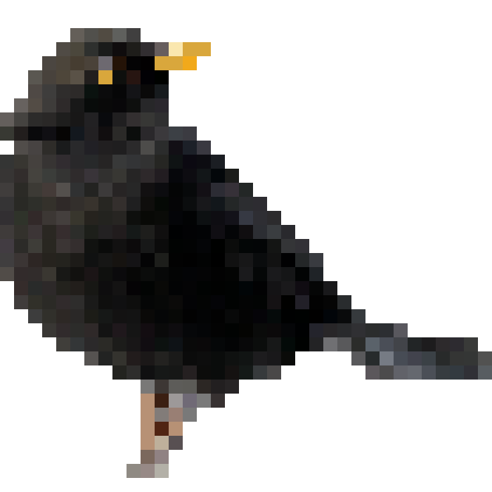 pixelated version of a blackbird