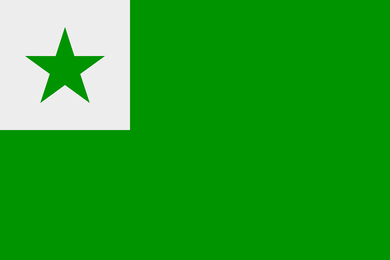 green flag with a smaller white square in the upper left corner, with a green star in the middle of it.