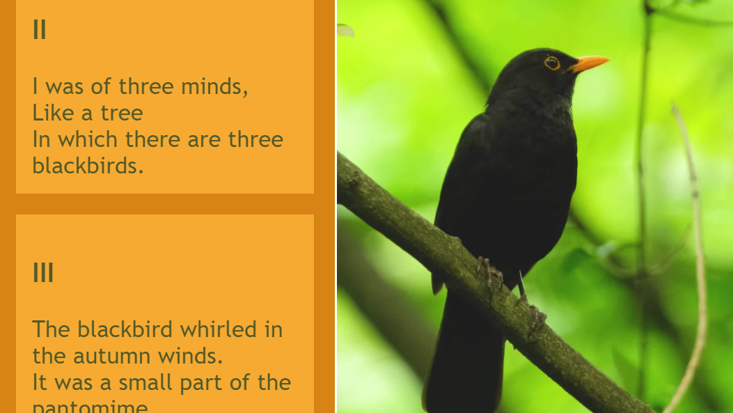 Image of a section of Blackbird Webpage