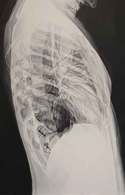 X-Ray artwork of the a human chest from the side profile.