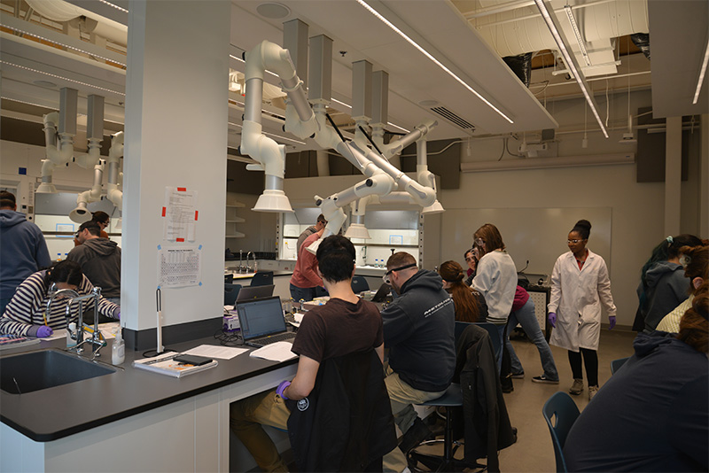 a classroom of WSU Vancouver scientists working with overhead vaccuum equipment.