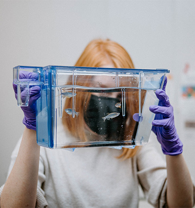 A WSU Vancouver scientist holding a tank of fish