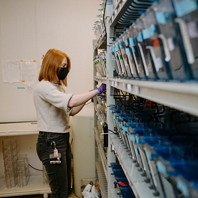 a WSU Vancouver scientist analyzing a group of fish tanks