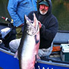 King Salmon