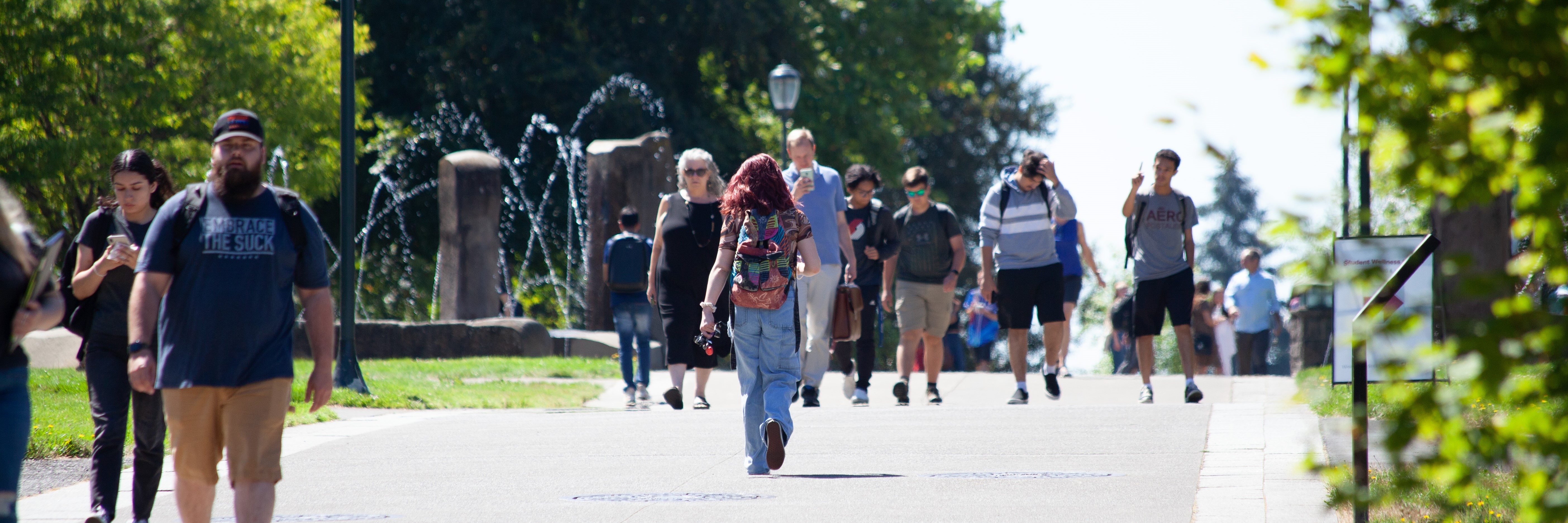 Students walking in the WSUV quad