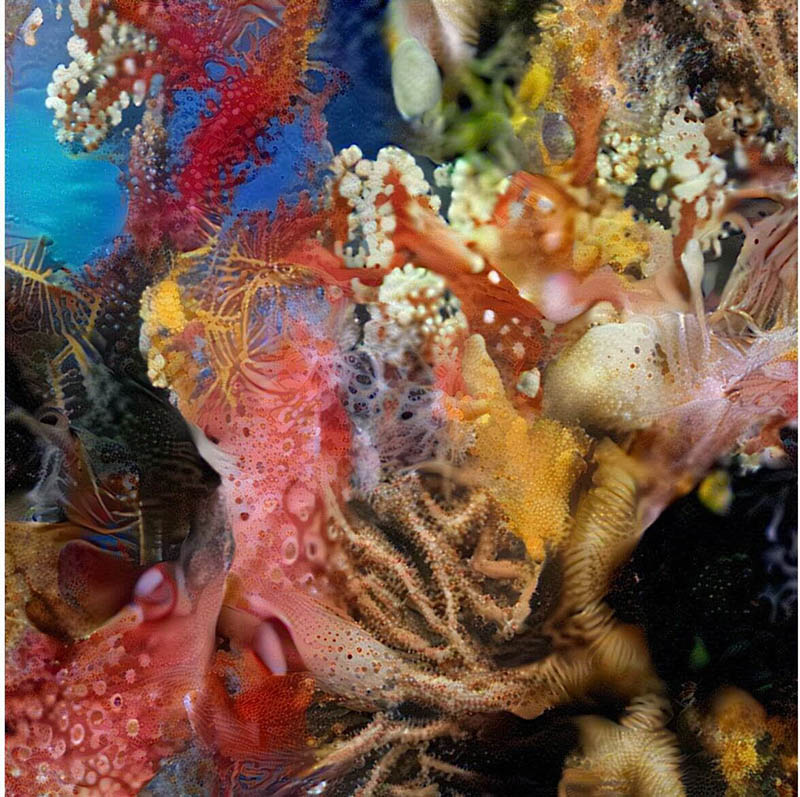 Sophia Crespo Neural Zoo