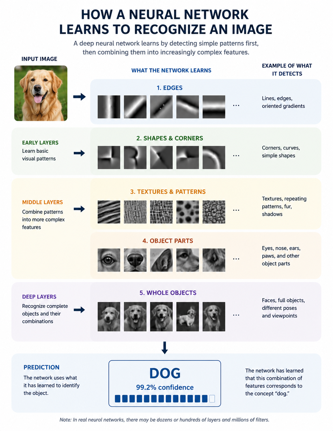 Machine vision