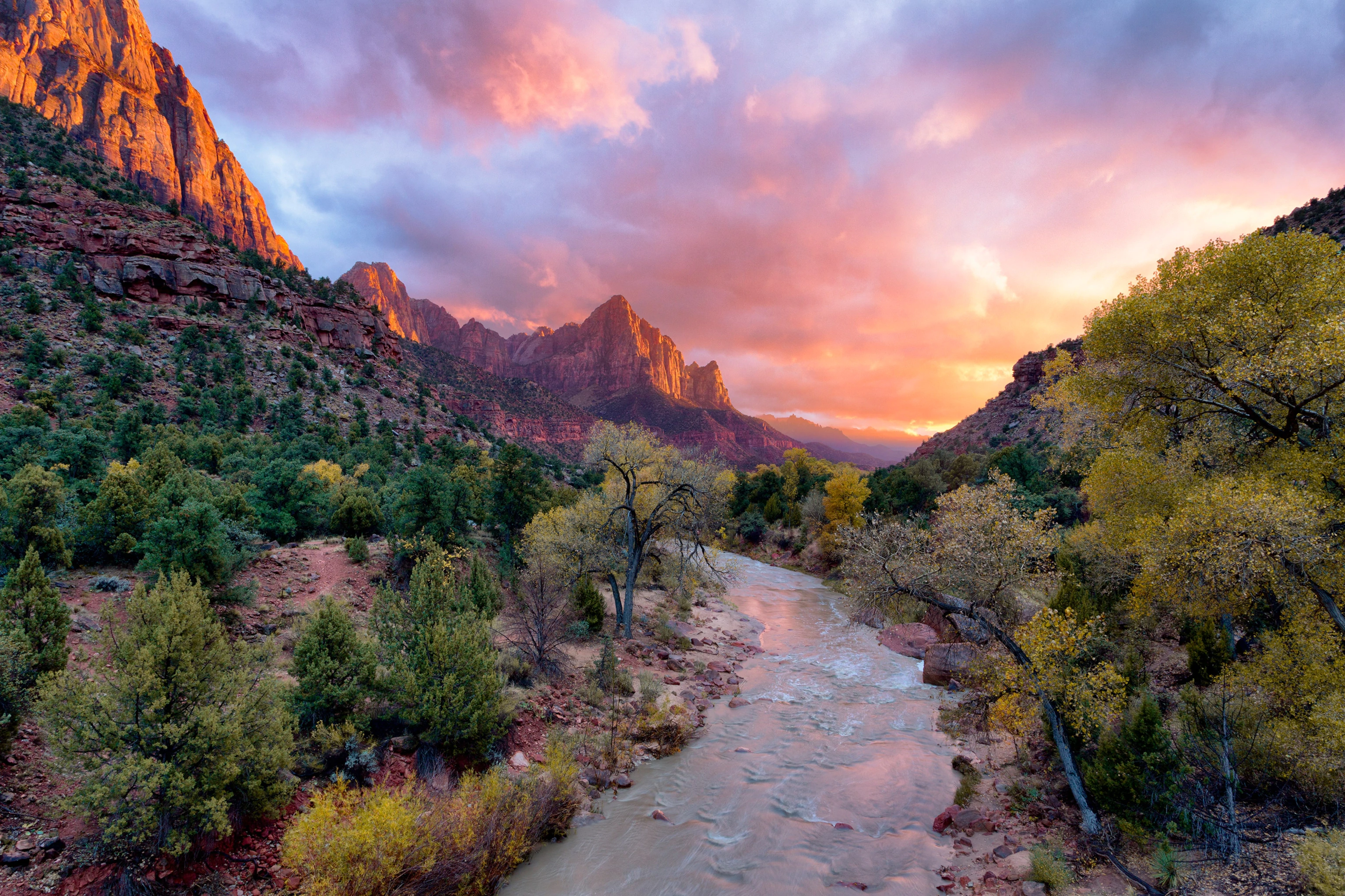 Watchman's hike view at Zion National Park