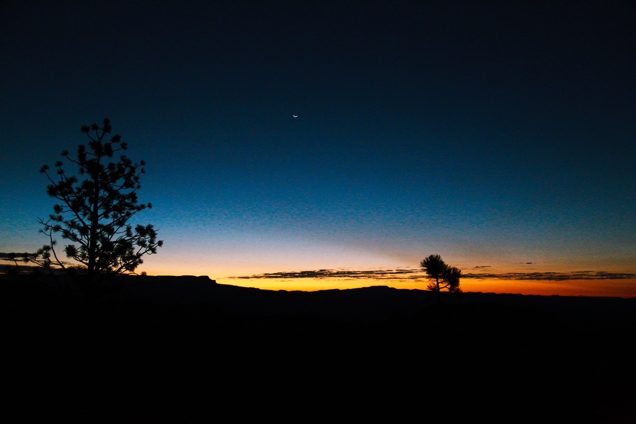 The sunrising over the mountains in the far distance. A tree sits just to the left.