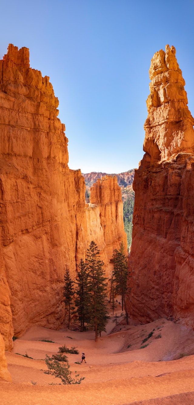 a towering image of the incredible oranges and reds of wall street in bryce canyon.