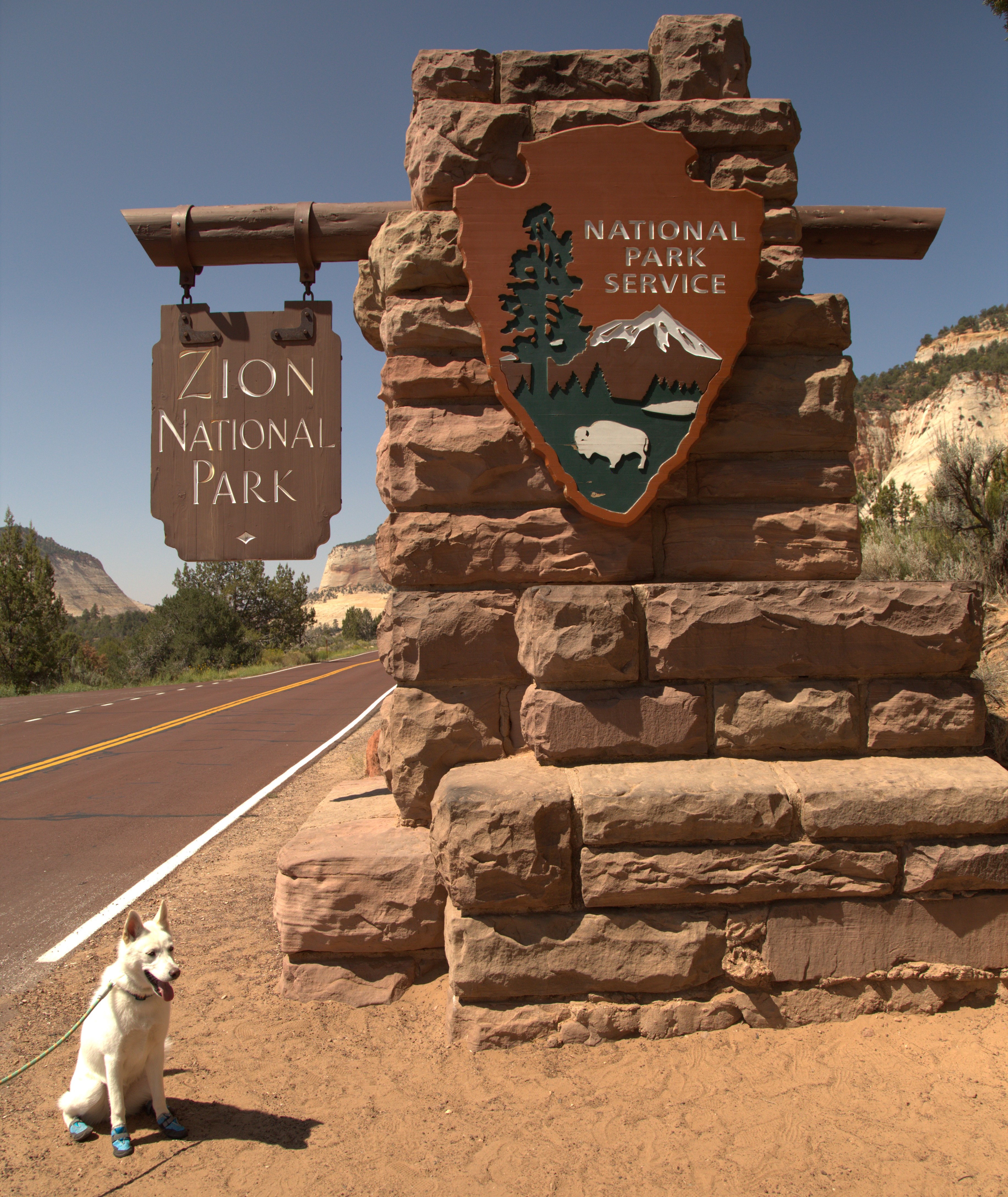 Zion, an all white husky with smile on her face, sitting in front of the Zion National Park sign.