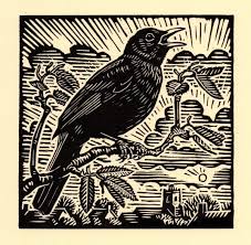 blackbird2