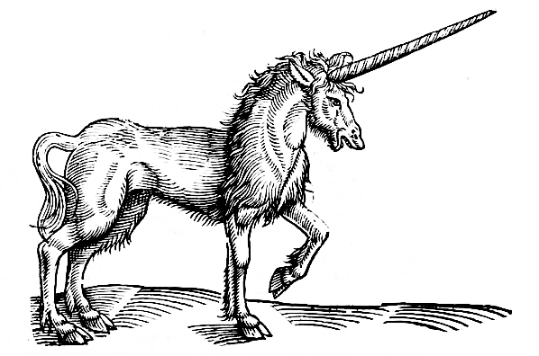unicorn