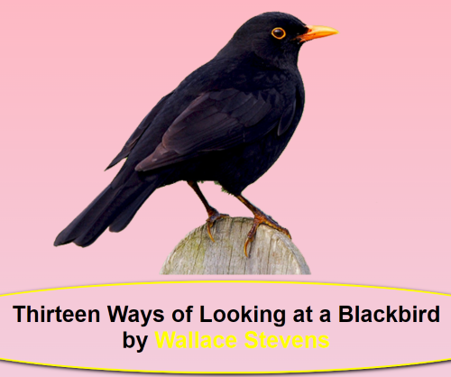 blackbird screenshot