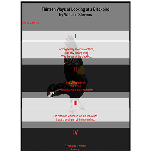 Poem of Blackbird