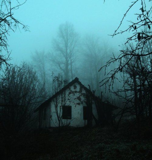 Cabin in the woods