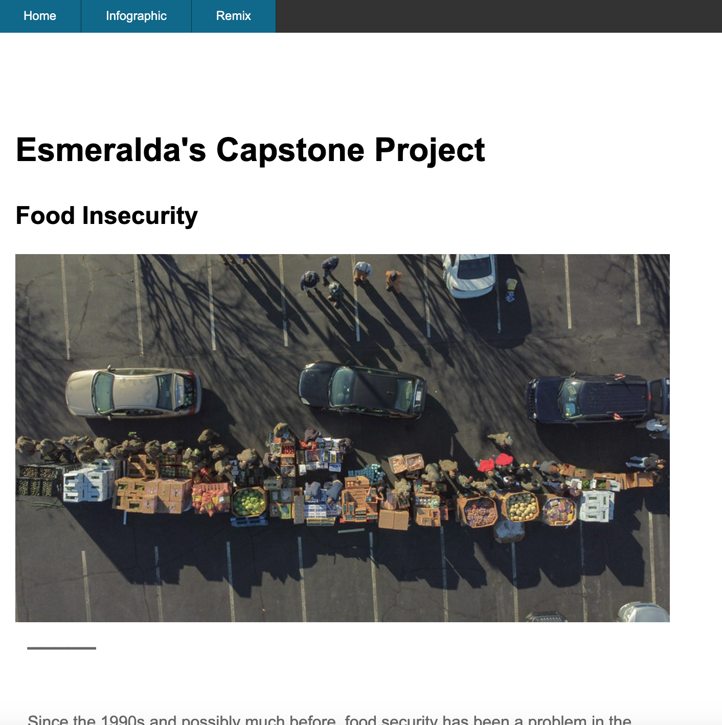 Screenshot of capstone website on Food Insecurity.