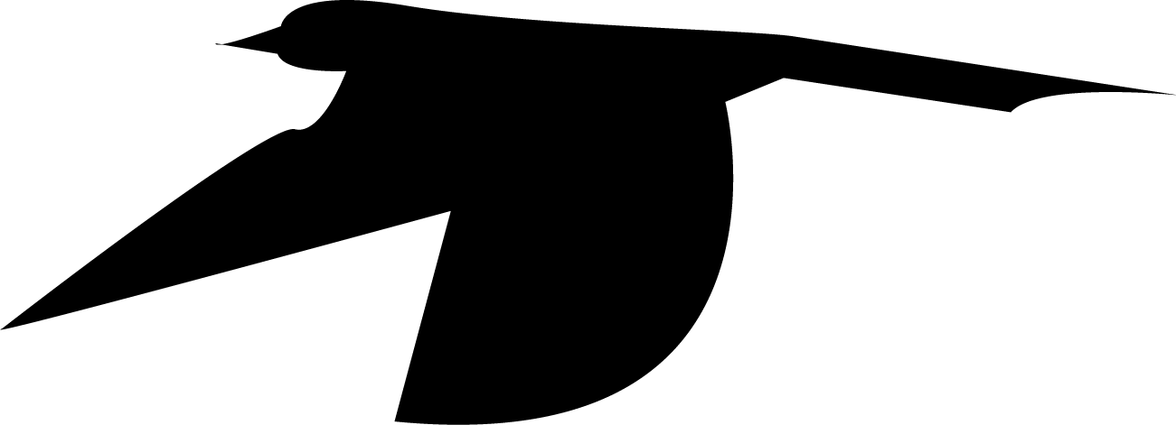 Bird1