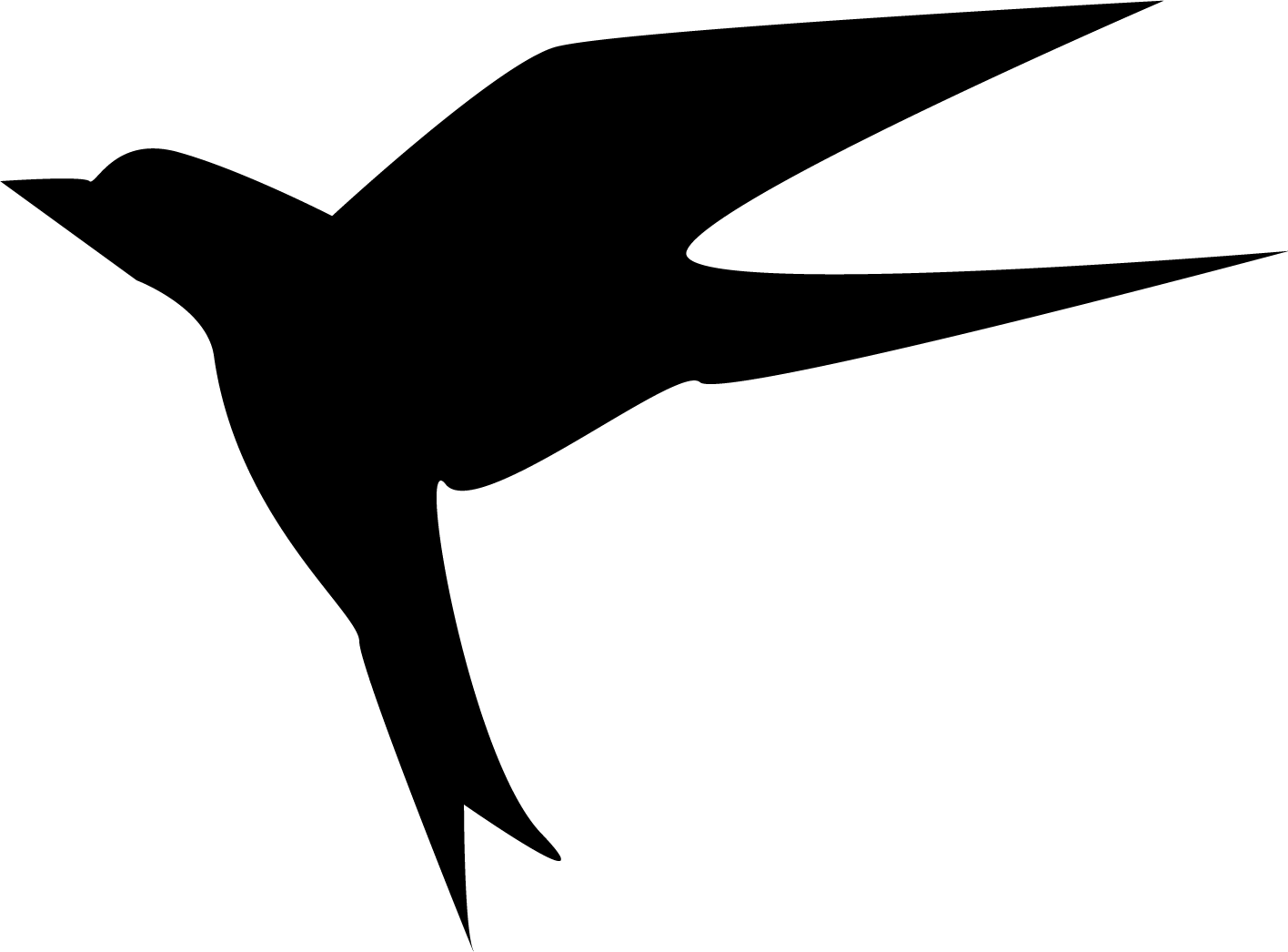 Bird10