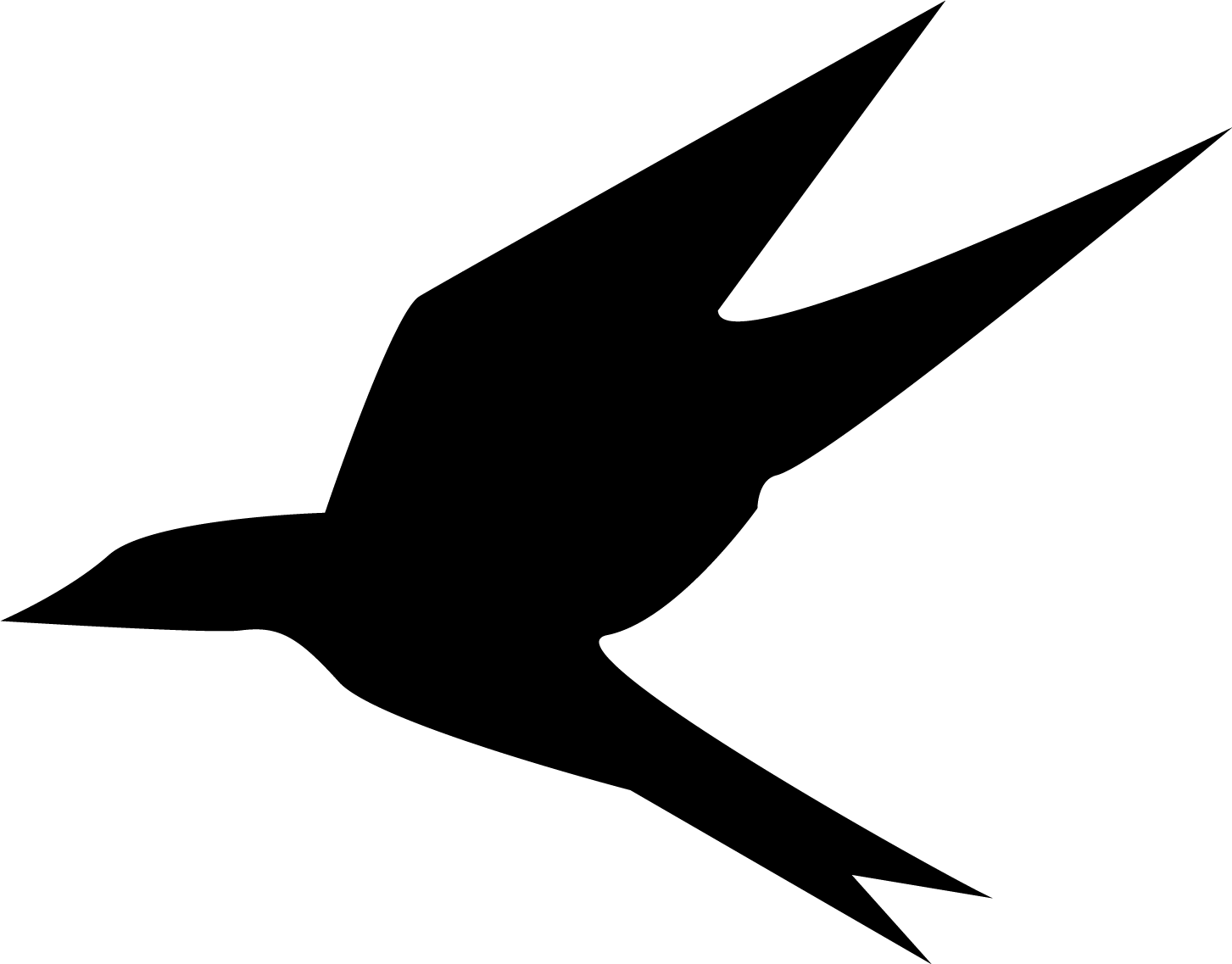 Bird11