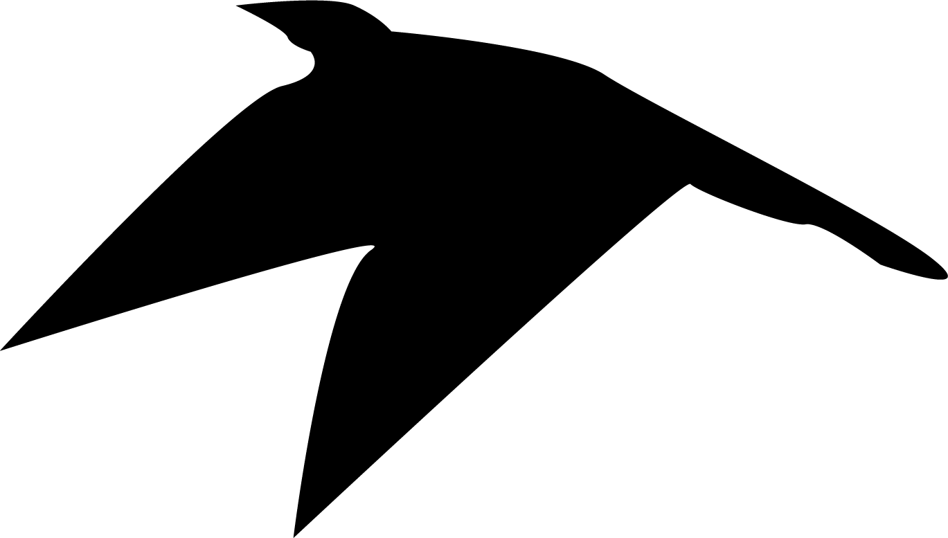 Bird12