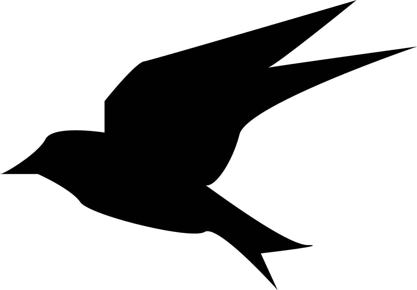 Bird13
