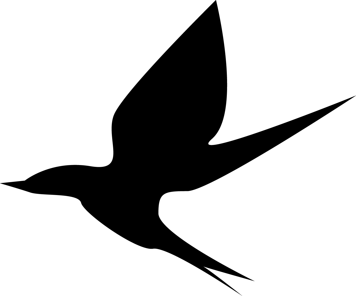 Bird2