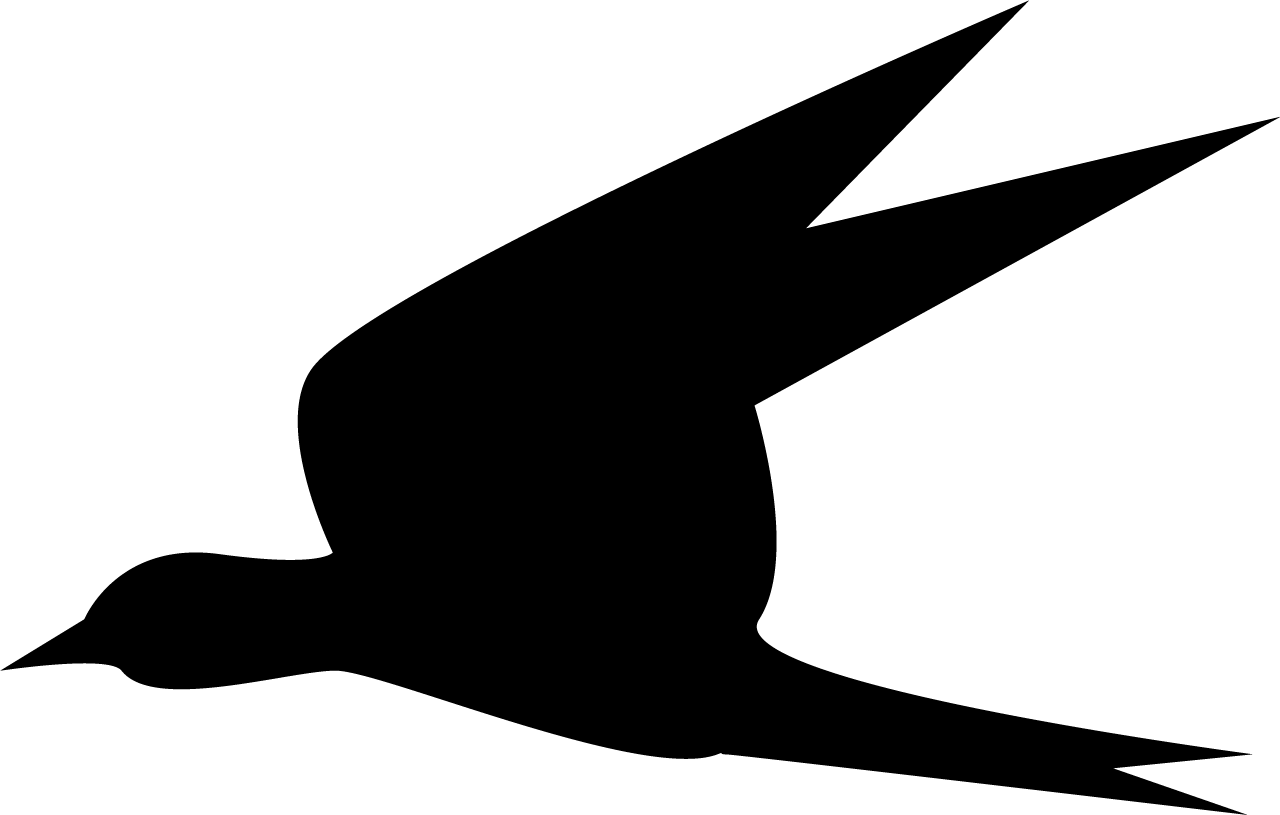 Bird3