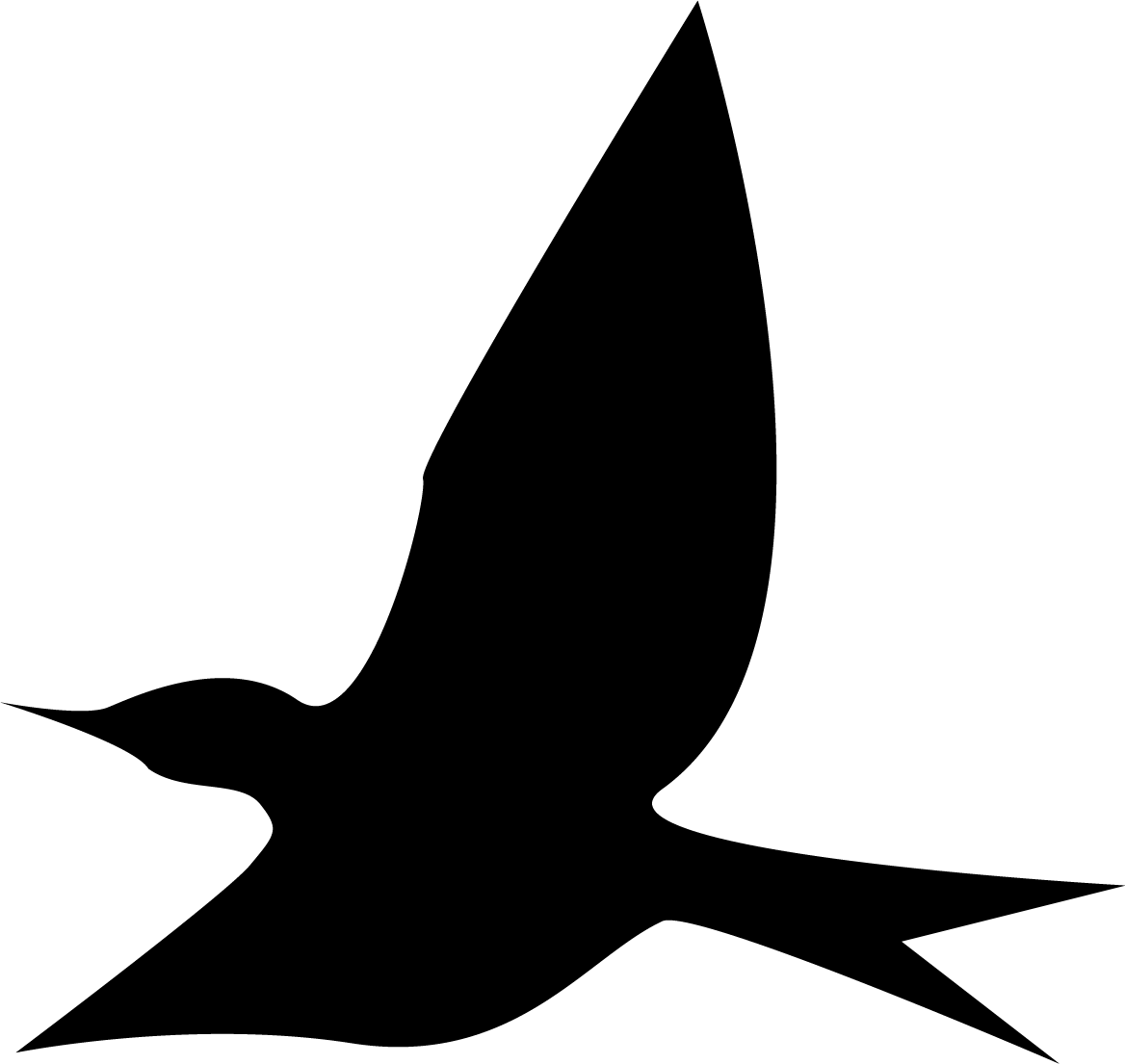 Bird4