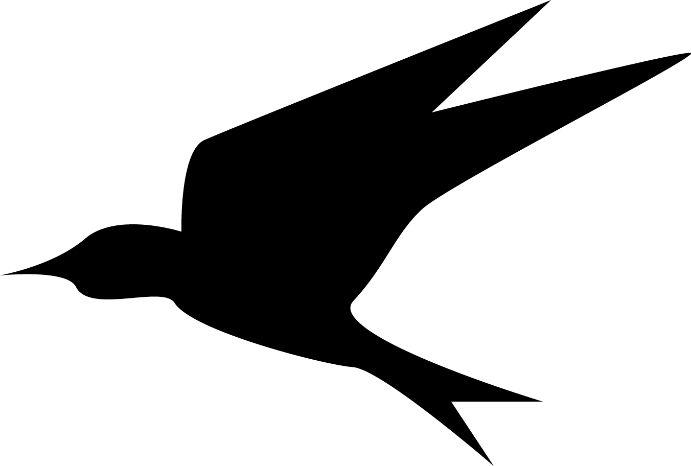 Bird5