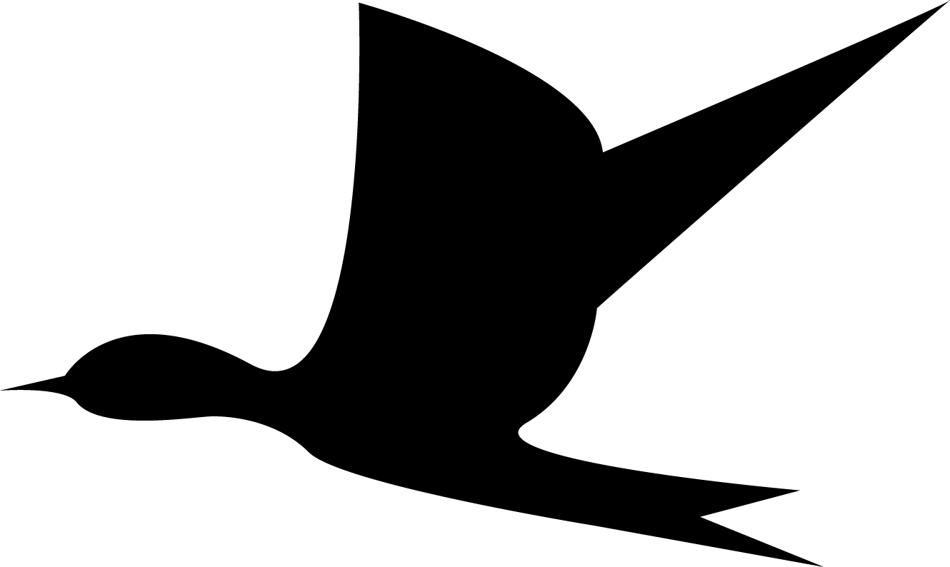 Bird6