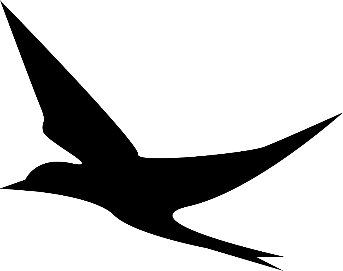 Bird8