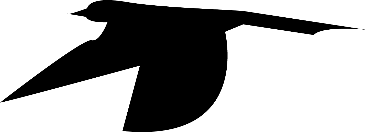 Bird9