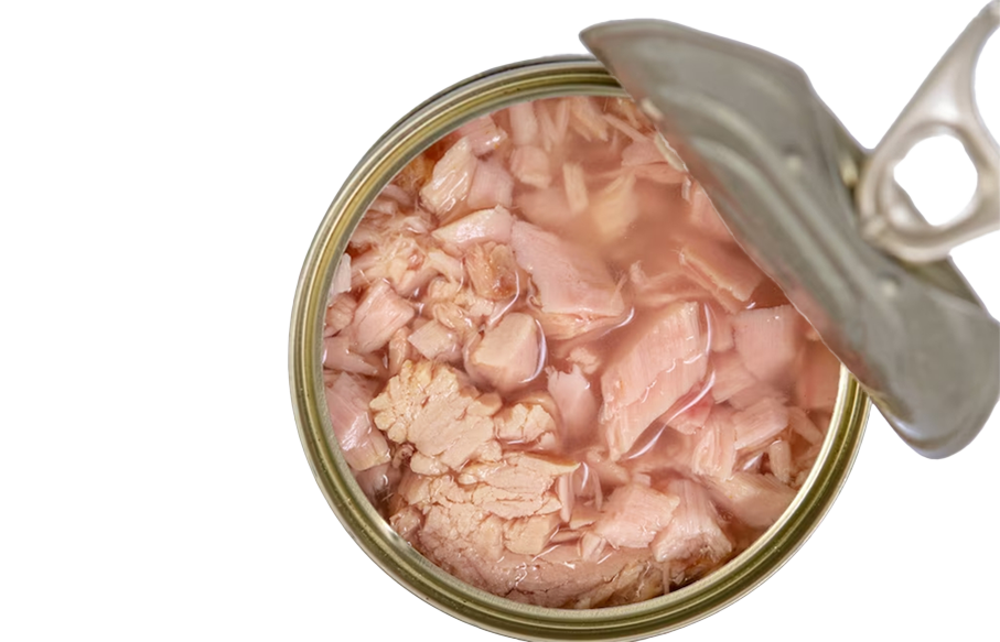 tuna