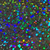 thumbnail image of work