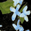 thumbnail image of work
