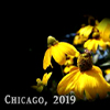 thumbnail image of work