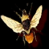 thumbnail image of work